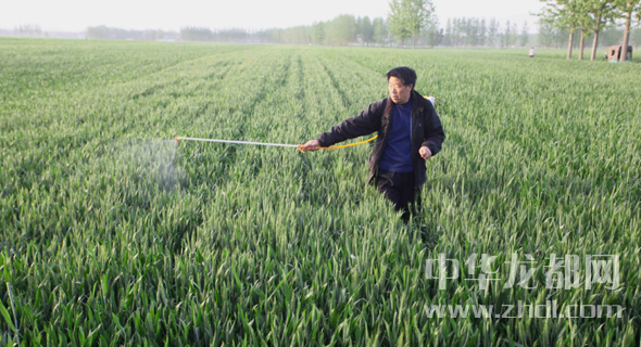 商水县袁老乡多少人口_商水县地图